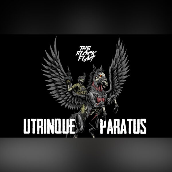 TBF "Pegasus" Flag - Image 2